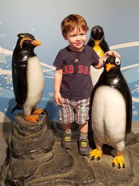 Happy Amid the Penguins