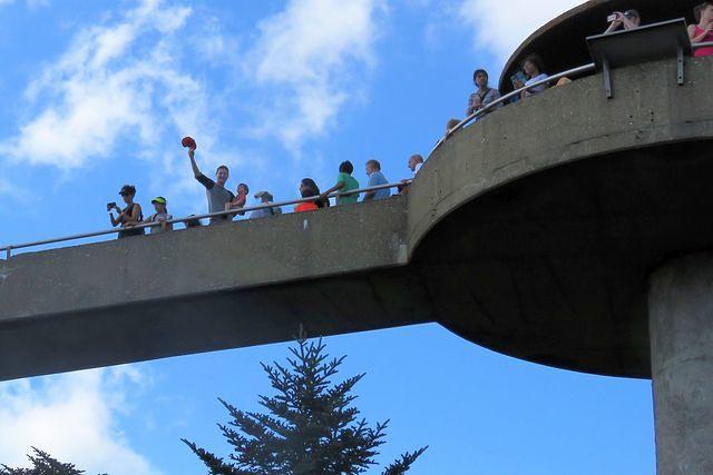 Clingmans Dome is the highest point in the Great Smoky Mountains National Park.