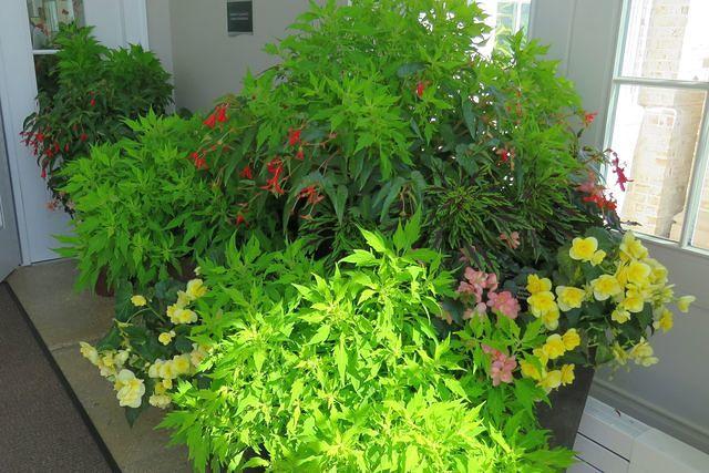 Within the Conservatory