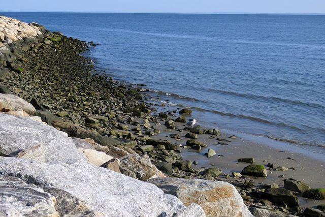 Taking a Break Along a Rocky Beach