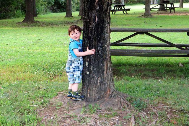 Cutest Tree Hugger