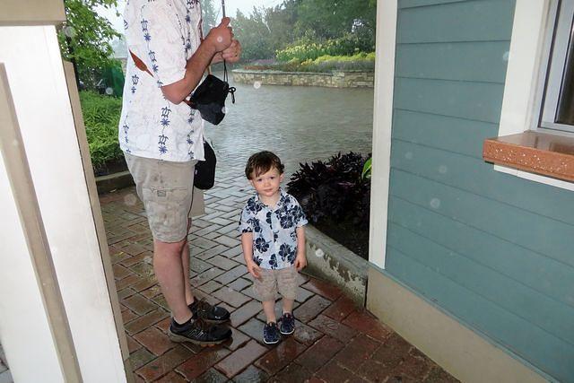 What Do You Mean? We Are Here But No Zoo!