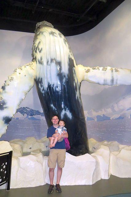 By the Whale Exhibet