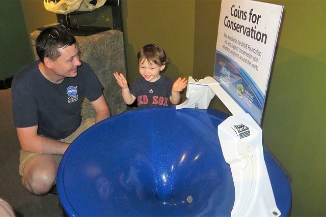 Spiralling Coins Rock