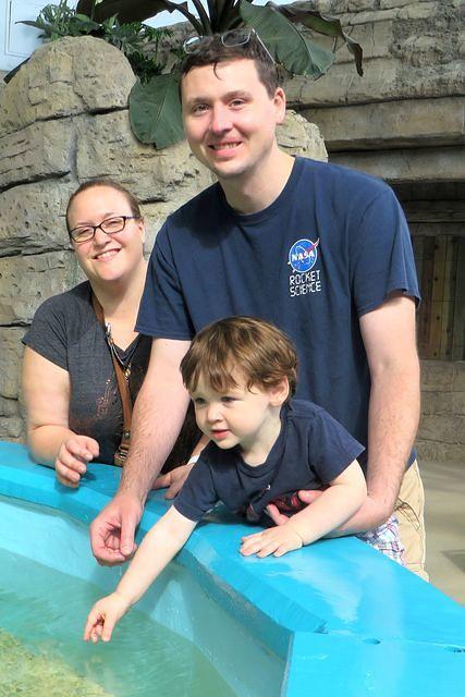 Reaching Into the Pool