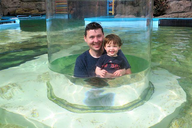 Cutest Critters in the Pool