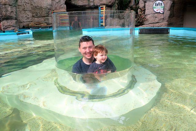 So Happy in Their Bubble