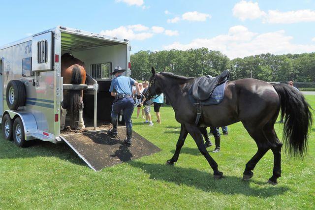 Packing up the Horses