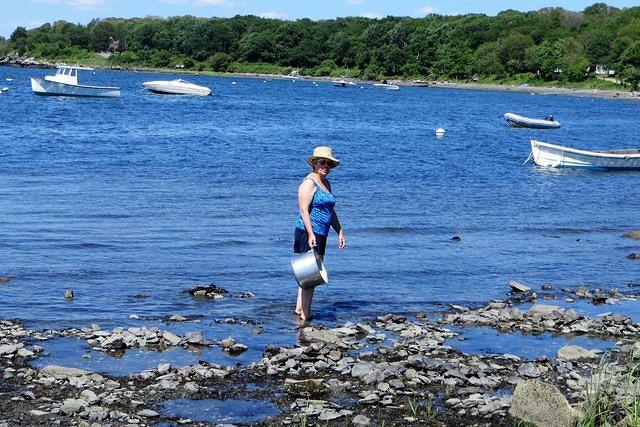 Bay Water for Lobsters!