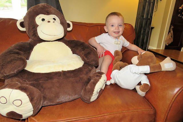 Just Monkeying Around