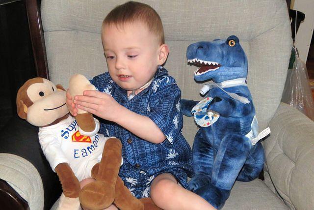 Surely Something Will Happen If I keep Pressing This Paw