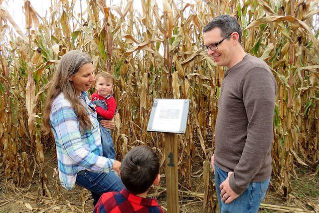 Figuring Out the First Clue