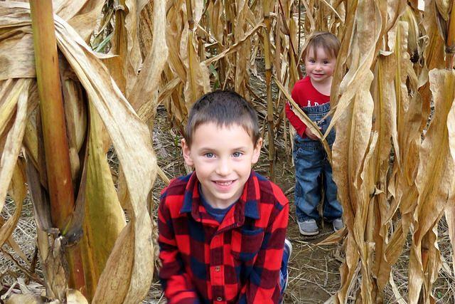 Corn Maze Siblings