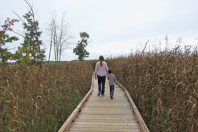 Mommy and Son Strolling