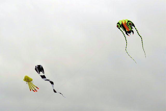 Crazy Huge Kites