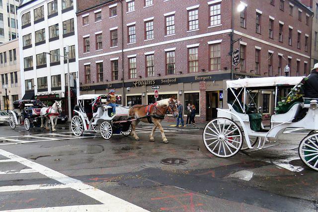 Horse and Carriage Parade