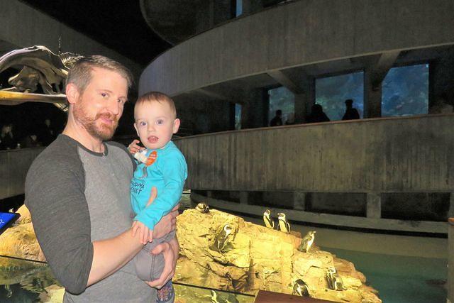 Eamonn and Daddy by the Penguins
