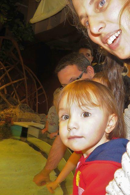 Waiting For the Next One