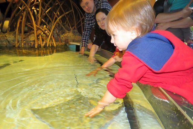 Evie Gently Stroking