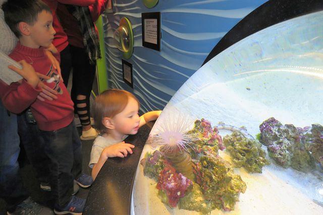 Now That's a Water Globe!