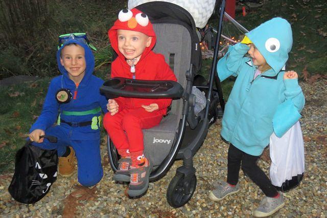 Scuba Diver, Elmo, and Pigeon