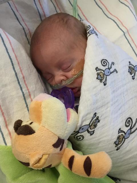 104407 17b9dae6c36b6b730c92d0bdb11a19e6