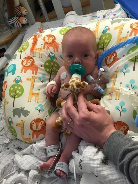 104407 24f747d4c327a2316bc73206781ab529