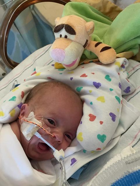 104407 3858f47684bcb47c6f4fbd8fc7f142db