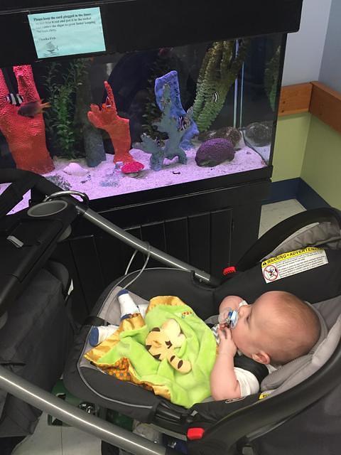 104407 e0d021e383216df196481126445cab50