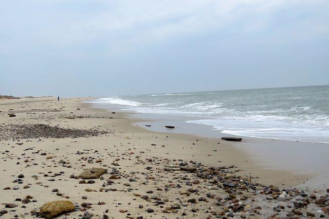 Debris On Nauset Beach