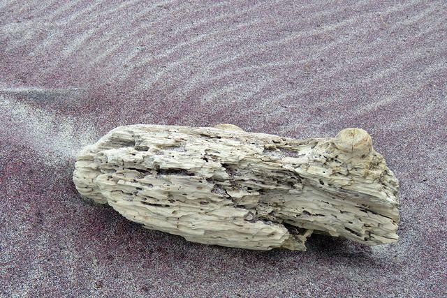 Purple Sand and Driftwood