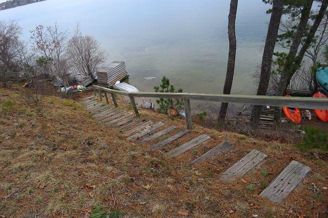 Steps Down to the Pond and Dock Piled Up