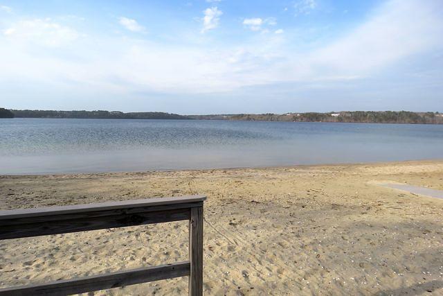 More Long Pond Beach