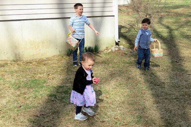 How Many Eggs are Left?