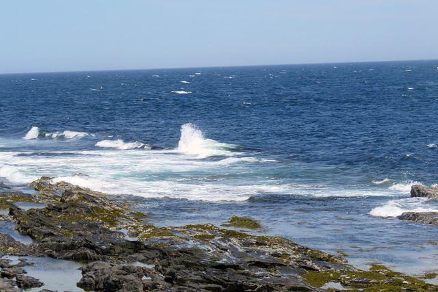 One View From Our Table