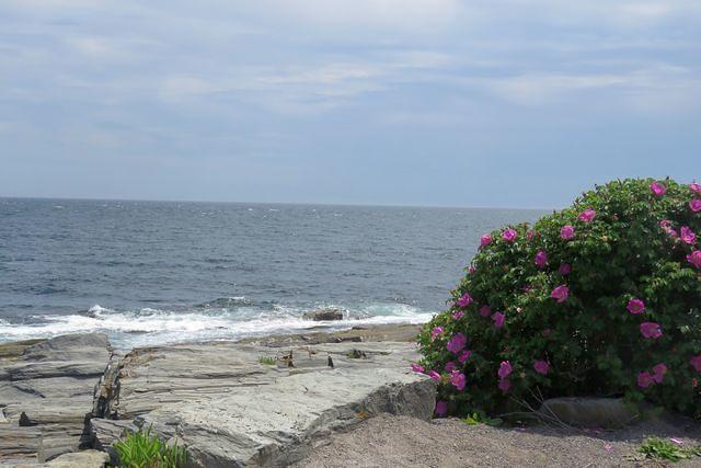 And Looking the Other Way!