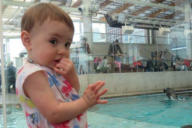 What Do You See Evie?