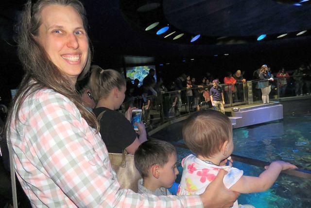 Enjoying the View From the Top