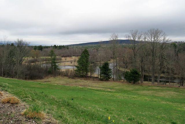 View From the Property