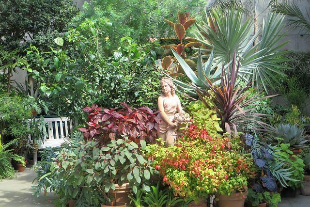 Peaceful Conservatory