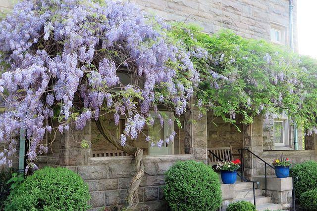 St. Peter's Episcopal Church Rectory