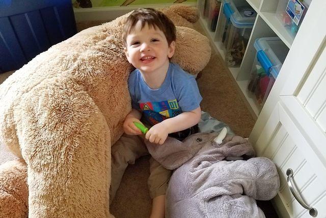 Stuffed Animal Cutie