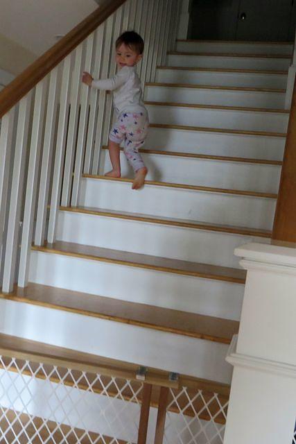 Up and Down, Up and Down!