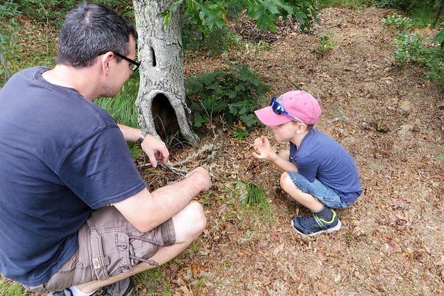 What Critter Lives Here?