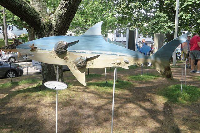 Horseshoe Crab Shark