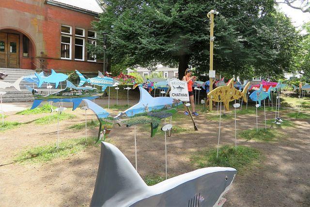 Shark Auction Fundraiser