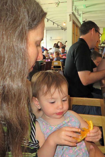 Delicious Orange Slices