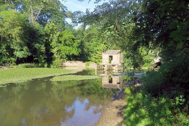 Lake Side of the Dam