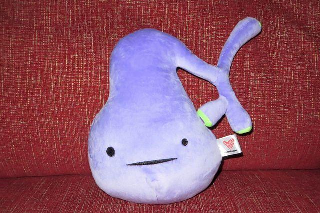 Breanna's New Gallbladder aka Tortilla