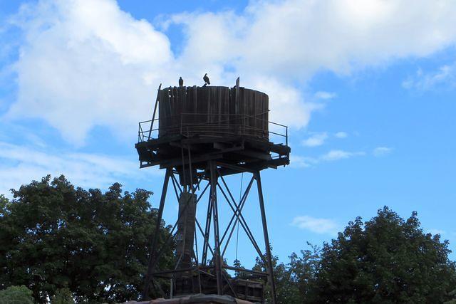 Water Tower Perching